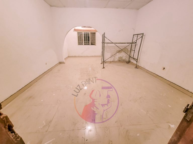 LUZ PAINT
