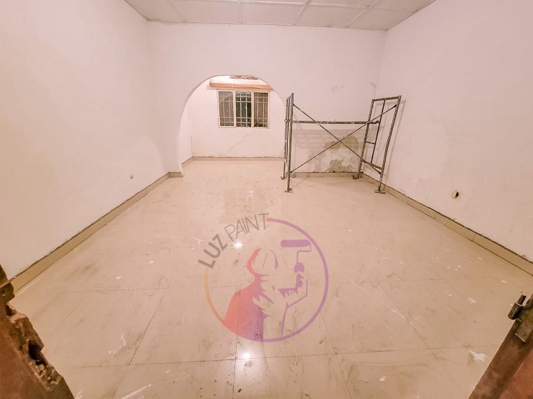 LUZ PAINT