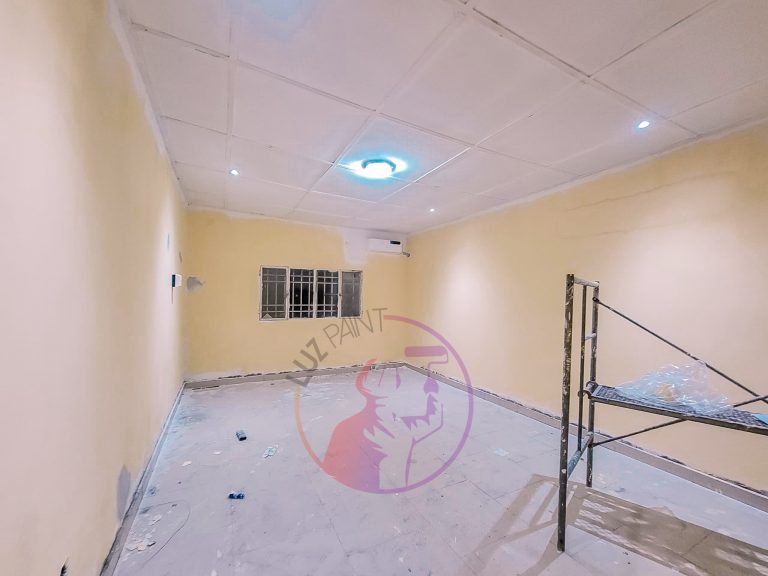 LUZ PAINT